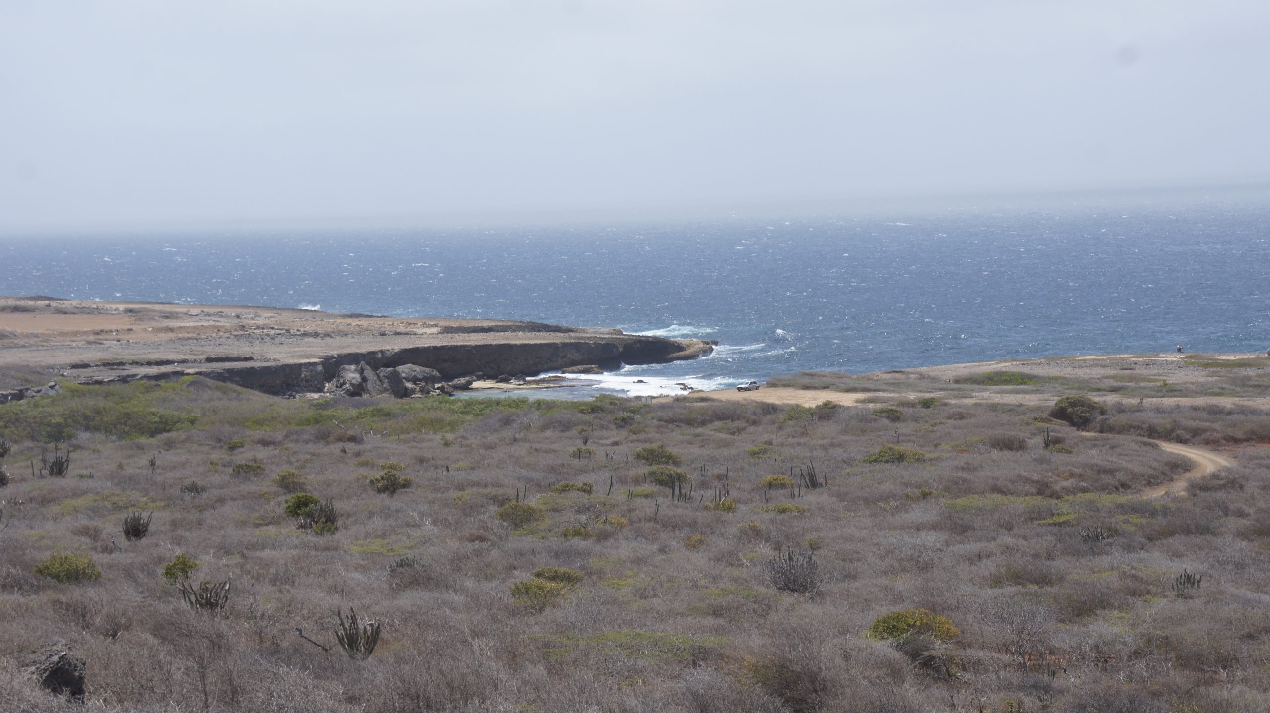 Blick auf die Küste